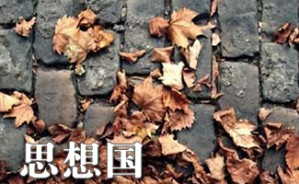 思想国·年终场——六又二分之一视频教程 王博龙 6讲 拍拍熊乐队