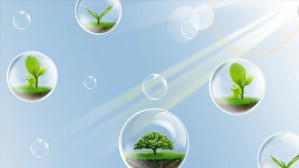 矿山酸性废水（AMD）的微生物生态视频教程 束文圣 5讲 中山大学
