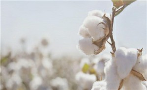 Sensing and automation for specialty crops & cotton视频教程 李长缨 4讲 美国佐治亚大学