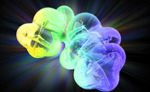 小脑、椎体外系解剖疾病视频教程 肖卫忠 4讲 北京大学第三医院