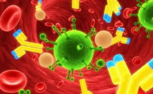 自身免疫系统视频教程 董会卿 4讲 首都医科大学宣武医院