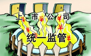 上市公司监管的法律框架视频教程 张明远 5讲 金杜律师事务所