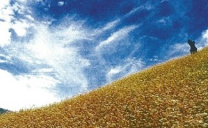 契合的机遇-漫谈文学创作与翻译视频教程 叶维廉 4讲 美国加州大学