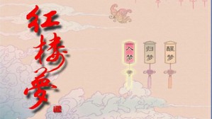 说《红楼梦》为什么这么红视频教程 潘知常 6讲 南京大学
