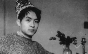 一代人的精神肖像——顾城和朦胧诗视频教程 魏天无 4讲 华中师范大学