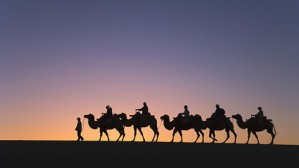 中国记忆中的丝绸之路视频教程 葛承雍 6讲 中国文化遗产研究院