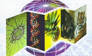 高中生物学概念教学的基本方法视频教程 王冬梅 6讲 北京师范大学良乡附属中学