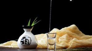 相忘于江湖——庄子哲学漫谈视频教程 陈霞 5讲 中国社会科学院