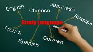 第二语言习得与汉语教学视频教程 赵杨 5讲 北京大学