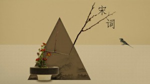 诗与吟——中国古典诗词的音韵美视频教程 许晓红 4讲 湖北卫视