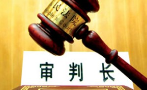 民事诉讼开庭初步视频教程 刘凌云 5讲 金杜律师事务所