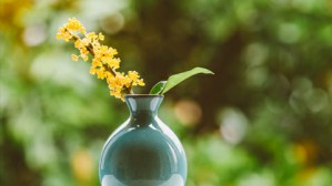 现实世界的两生花——科幻文学视频教程 江逐浪 5讲 中国传媒大学