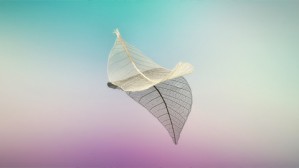 何谓物？以及什么是艺术？视频教程 孙周兴 4讲 同济大学
