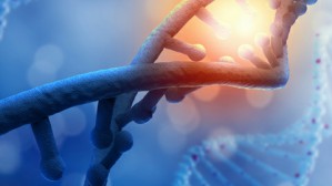 解读2019年诺贝尔生理学或医学奖视频教程 王婷 6讲 上海交通大学医学院