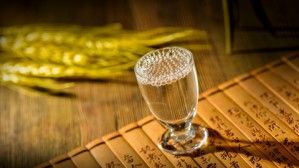 柱斧与酒—略说宋太祖的生死嗜好视频教程 王瑞来 5讲 日本学习院大学