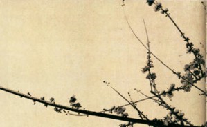 读画——谈中国画的临摹视频教程 刘牧 5讲 中国国家画院