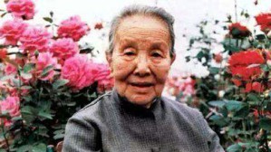 冰心的离去与她留下的财富视频教程 王炳根 5讲 冰心文学馆