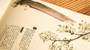 字里乾坤——《说文解字》与中国传统文化视频教程 万献初 4讲 武汉大学