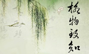 如何格物致知视频教程 郭永进 4讲 其他