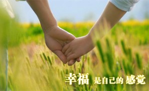 幸福专题讲座视频教程 徐景安 8讲 中国幸福研究院
