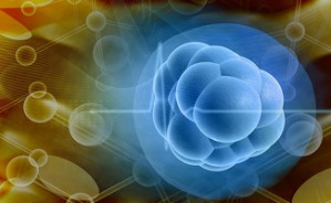 Inflammation-related lipid metabolic genes and leukemia stem cells视频教程 Shaoguang Li 4讲 美国马萨诸塞大学