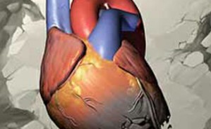 急性心肌梗死视频教程 高润霖 5讲 中国医学科学院阜外医院