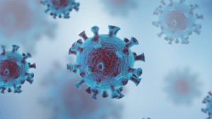 解读2020年诺贝尔生理学或医学奖视频教程 闻玉梅 6讲 中国工程院