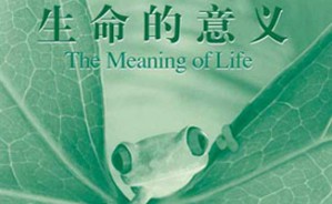 生命的虚无、沉沦、悲情与觉情--当代新儒家的存在体验视频教程 郑宗义 4讲 香港中文大学