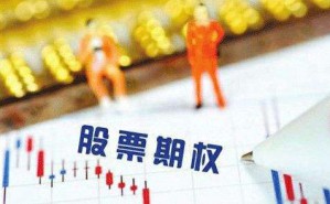 从老股票中看中国股份制企业的研究与发展视频教程 朱荫贵 6讲 复旦大学