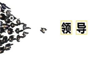 陆向谦领导力论坛（二）视频教程 郝亚宁 6讲 北京动漫游戏产业联盟