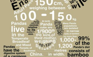 2010北京大学可视化发展前沿研究生暑期学校视频教程 Alfred Inselberg 10讲 特拉维夫大学