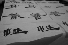 九型人格与中国传统修身文化（上）视频教程 洪新 6讲 中国国际九型人格导师协会