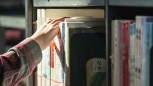 作为世界文学的中国文学视频教程 张英进 5讲 美国加利福尼亚大学圣迭戈分校