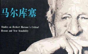 马尔库塞现象学视频教程 安德鲁·芬伯格 4讲 其他
