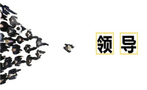 陆向谦领导力论坛（二）视频教程 王兴 4讲 美团网