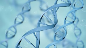 学点生物学视频教程 郑也夫 4讲 北京大学