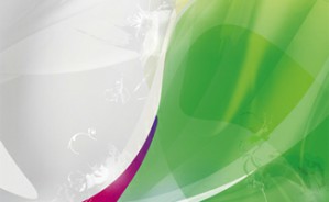 高等教育质量工程与我国本科生教育改革视频教程 刘宝存 6讲 北京师范大学
