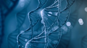 解读2020年诺贝尔化学奖视频教程 丁奎岭 6讲 中国科学院