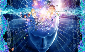 大脑决定了一切？——关于个体差异和道德选择的脑科学研究视频教程 迪克·斯瓦伯 6讲 荷兰皇家科学院