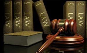 漫步法律——法律的不同理性视频教程 吕忠梅 5讲 中南财经政法大学