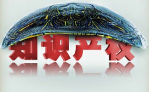 知识产权审判问题视频教程 芮文彪 6讲 上海市高级人民法院