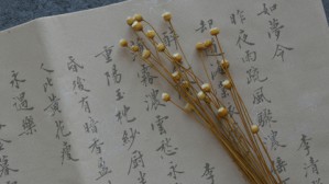 说“书”——考古发现与中国古代的书写、书体、书籍视频教程 葛亮 5讲 上海博物馆