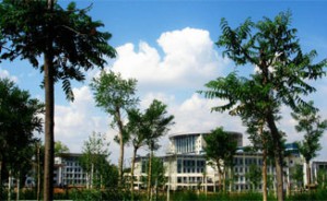西部及其周边地区高校非数学专业数学基础课教师暑期研修班视频教程 王绵森 16讲 西安交通大学