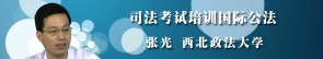 司法考试培训国际公法学视频教程 张光 18讲 西北政法大学