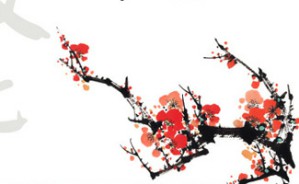 文化和健康行为规范及其对健康传播的影响视频教程 Xiaoquan Zhao 22讲 美国乔治梅森大学