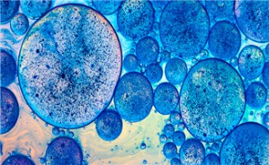 病理学视频教程 胡虎 22讲 浙江大学