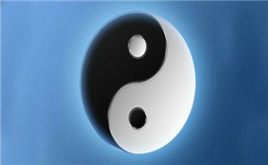 周易应用视频教程 鲁瑞丰 23讲 其他