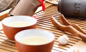 四季问茶视频教程 朱淑仪 24讲 一承茶社