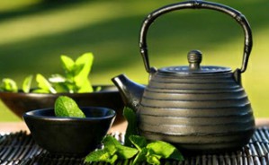 茶修视频教程 张勃 26讲 雅集堂茶艺修身学堂