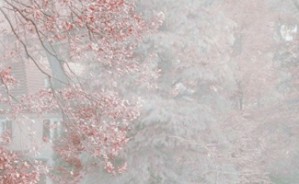 艺术批评视频教程 林少雄 26讲 上海大学